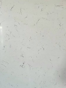 Carrara White TS5201