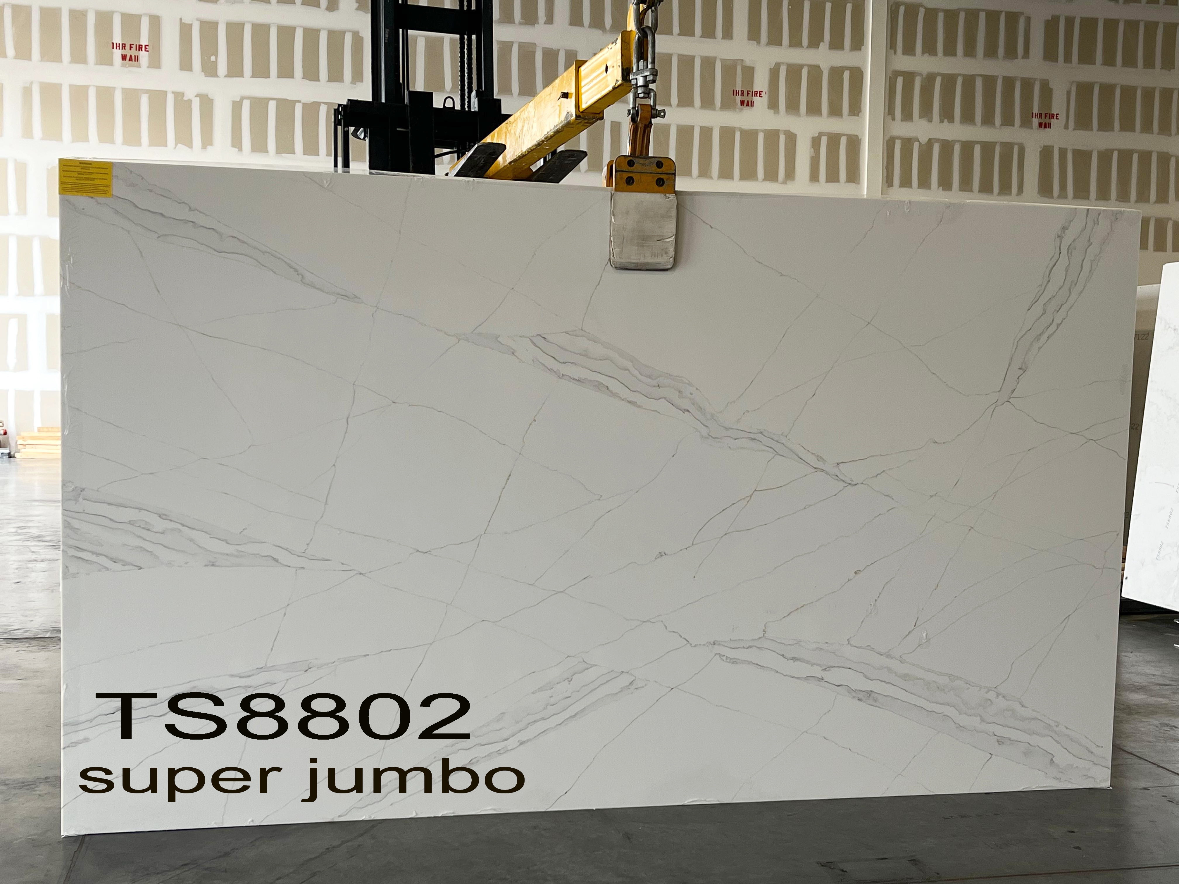 TS8802 SJ